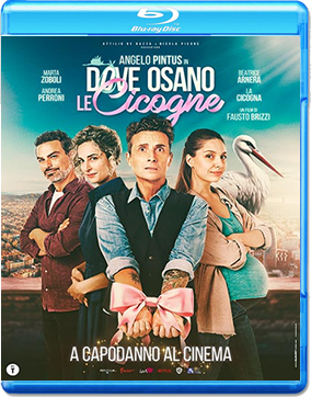 Dove osano le cicogne