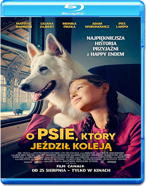 Lampo il cane viaggiatore